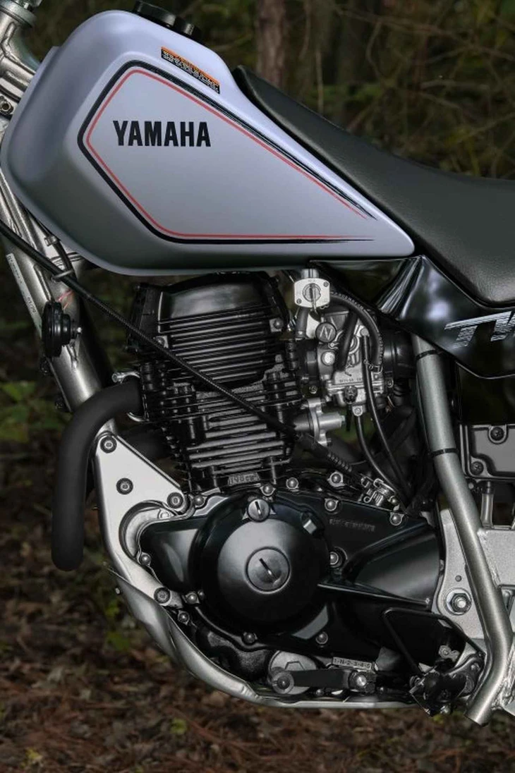 Yamaha TW200 - Ảnh 5.