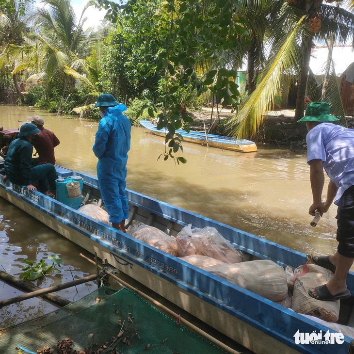 Người nuôi heo như 'ngồi trên đống lửa' vì dịch tả heo châu Phi - Ảnh 3.
