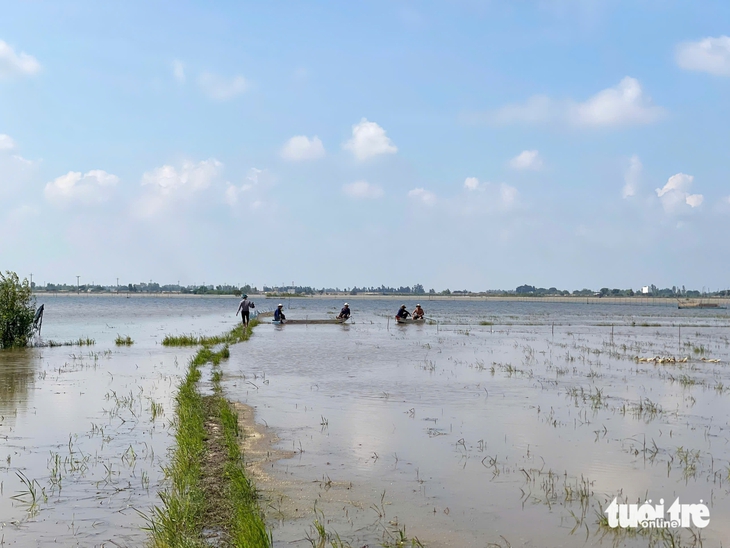 NƯỚC NỔI - Ảnh 6.