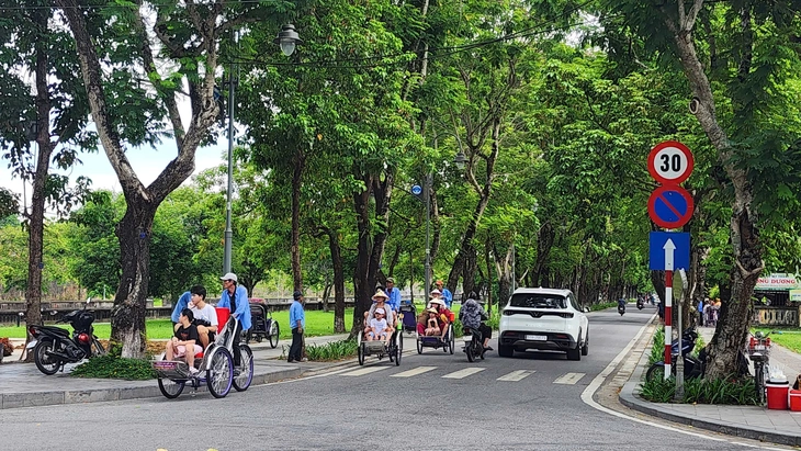 BIỂN BÁO - Ảnh 1.
