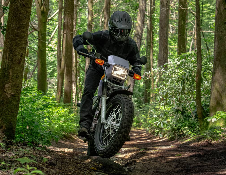 Yamaha TW200 - Ảnh 1.