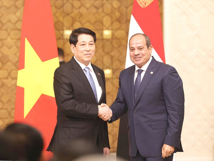 Việt Nam - Ai Cập - Ảnh 1.