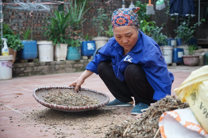 tiếp sức đến trường - Ảnh 2.
