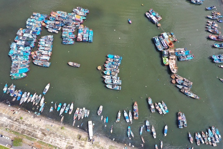 TÀU CÁ - Ảnh 1.
