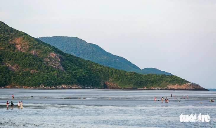Côn Đảo - Ảnh 3.