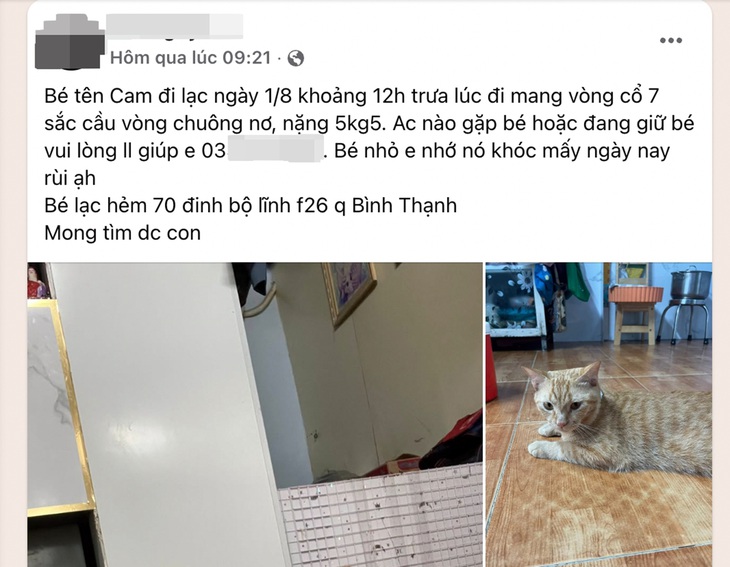 thú cưng - Ảnh 2.