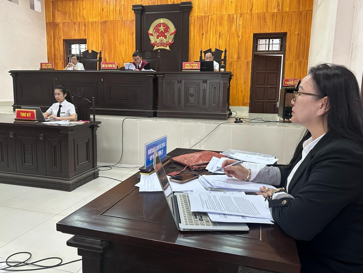 Doanh nghiệp kiện UBND tỉnh ra tòa vì bị thu hồi 'đất vàng' đã giao cho làm dự án - Ảnh 2.