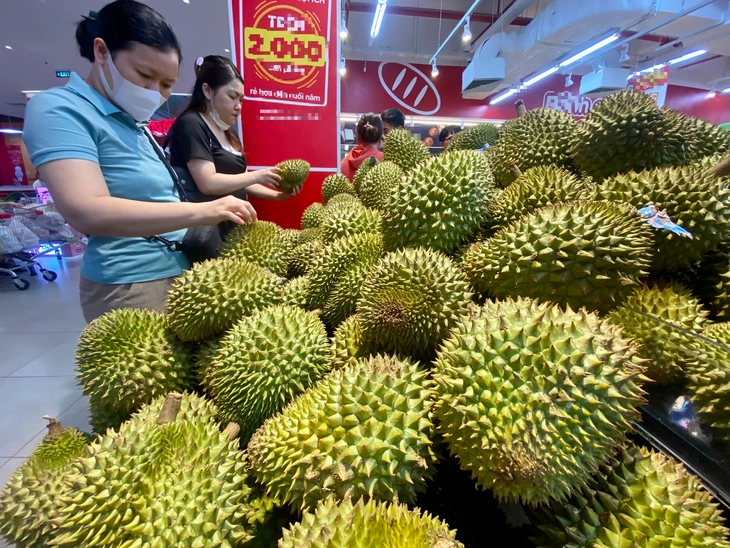 Sầu riêng xuất khẩu sang Trung Quốc bị trả về sẽ phải kiểm tra chất vàng O - Ảnh 1.