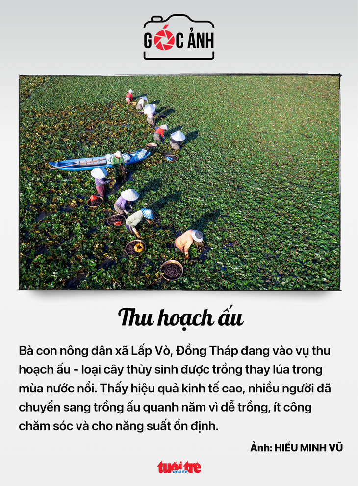 chứng khoán - Ảnh 7.