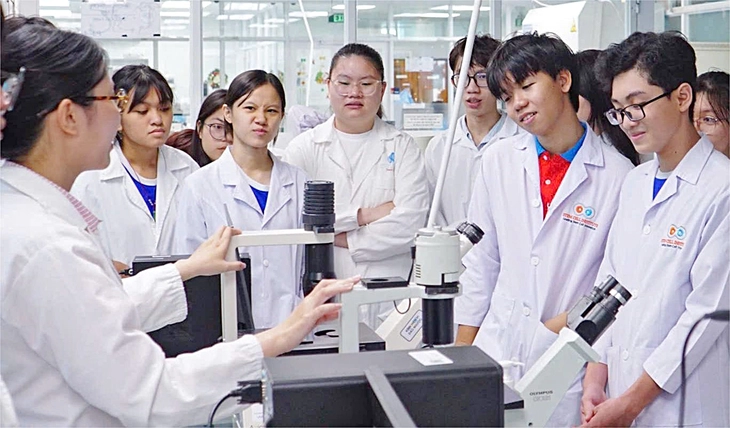 Lớn lên cùng 20 mùa sắc đỏ tình nguyện - Ảnh 1. hoa phượng đỏ - Ảnh 1.