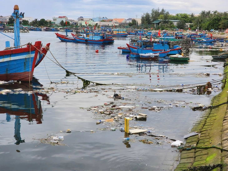 Lý Sơn - Ảnh 1.