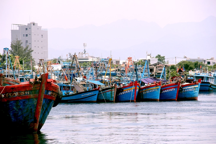 Xử lý tàu cá '3 không', có nơi phạt ngư dân tới 10 tỉ đồng - Ảnh 3.