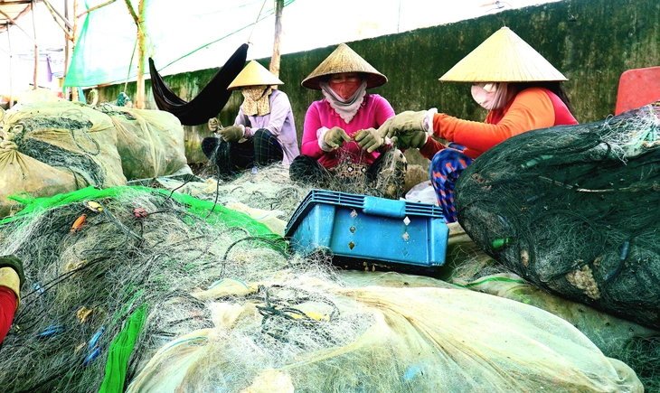 Cà Mau sắp hỗ trợ sinh kế cho hơn 12.000 hộ khó khăn - Ảnh 1.