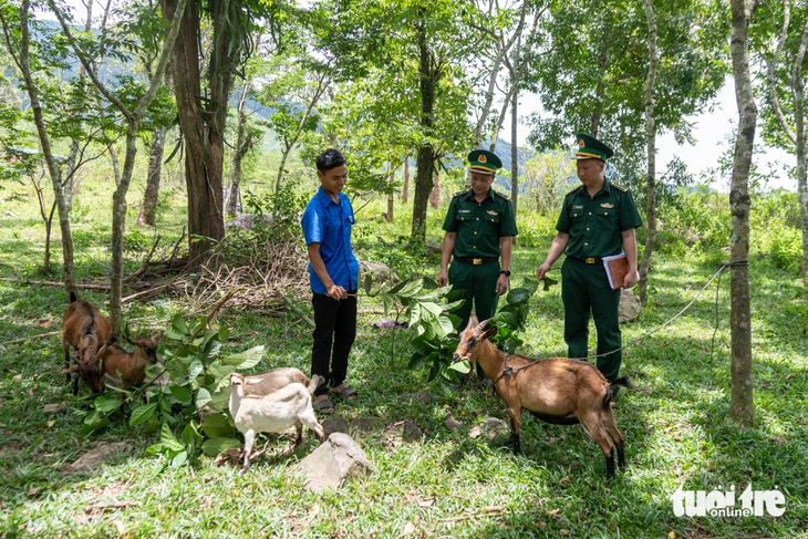 'Quỹ đầu tư khởi nghiệp' từ cặp dê giống của lính biên phòng Quảng Trị - Ảnh 1.