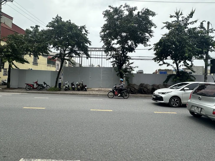 Đất vàng - Ảnh 4.