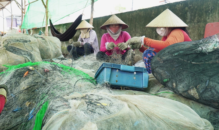SINH KẾ - Ảnh 1.