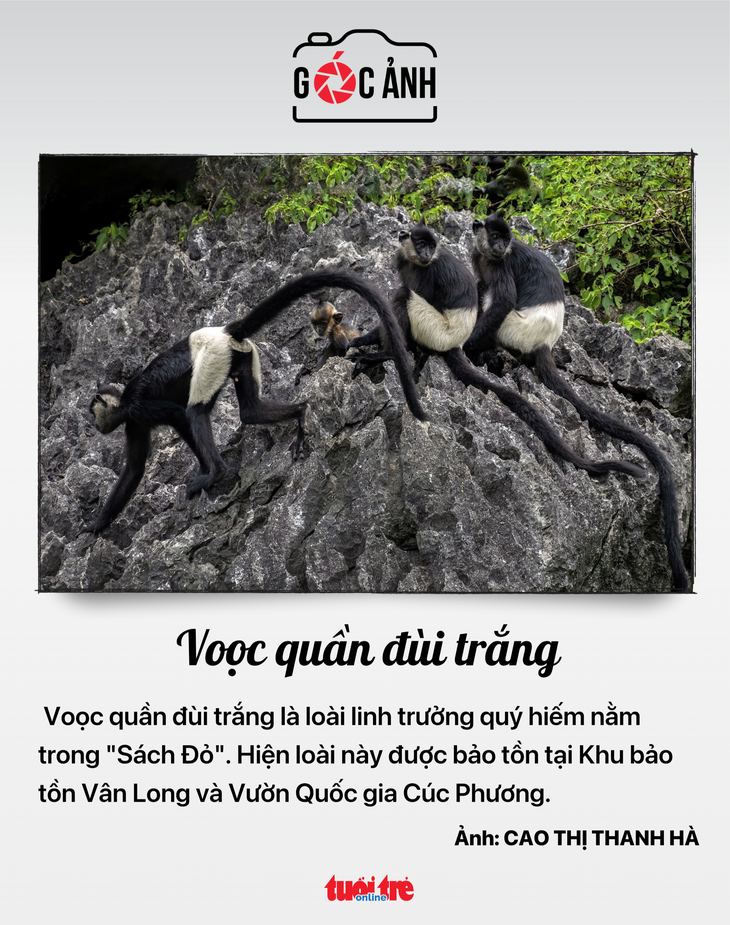 tin tức - Ảnh 7.