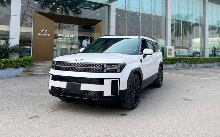 Hyundai Santa Fe - Ảnh 1.