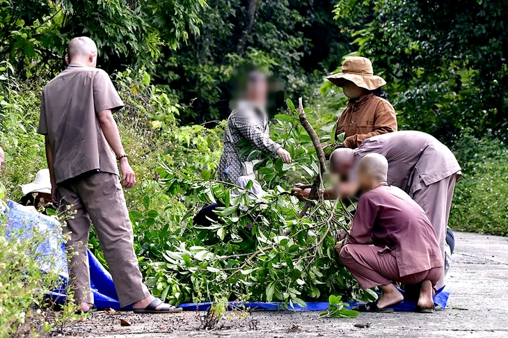 Bẻ cành cây trên bán đảo Sơn Trà - Đà Nẵng, một người đàn ông bị phạt 1,25 triệu đồng - Ảnh 1.