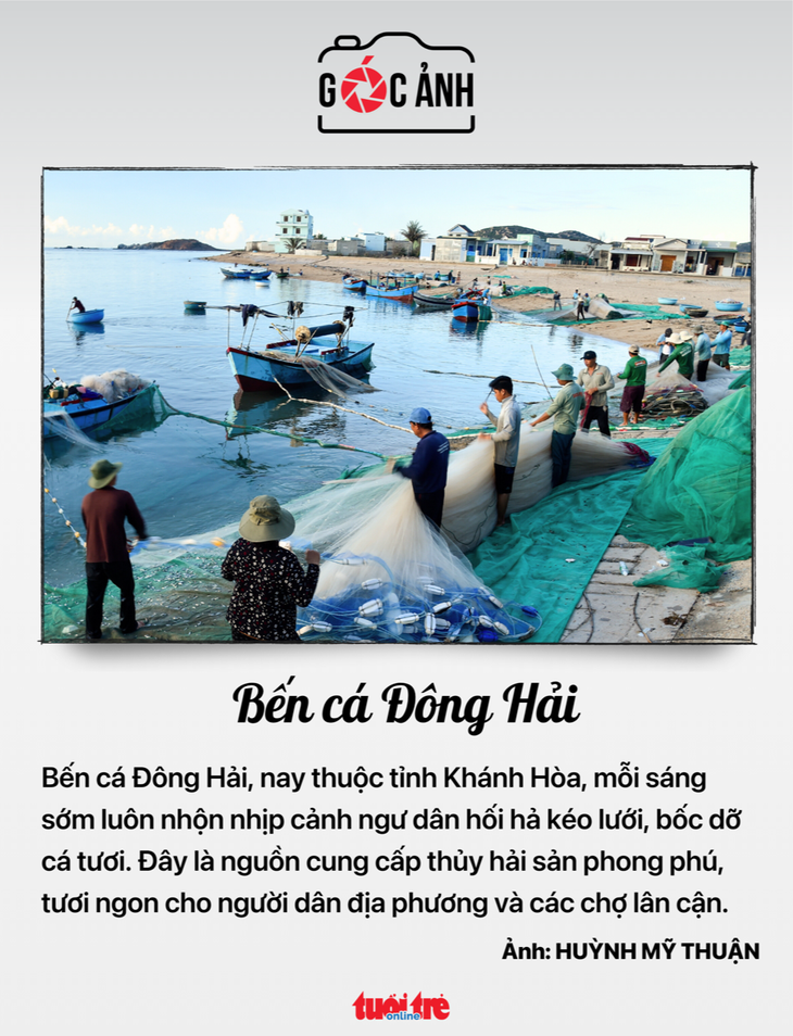 giáo viên - Ảnh 6.