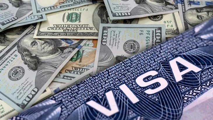 visa - Ảnh 1.