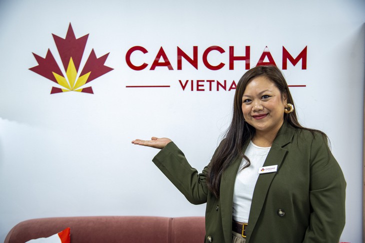 Việt Nam - Ảnh 1.
