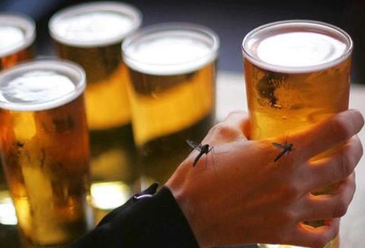 Nghiên cứu gây sốc: Muỗi khoái người uống bia và mới 'yêu' - Ảnh 1. muỗi - Ảnh 1.