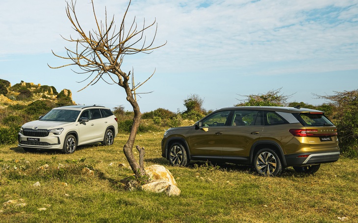 Skoda Kodiaq - Ảnh 3.