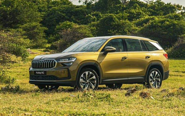 Skoda Kodiaq - Ảnh 4.