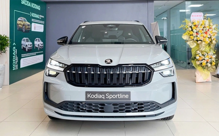 Skoda Kodiaq - Ảnh 1.