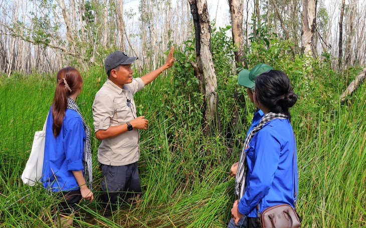  Vườn quốc gia Tràm Chim xuất hiện nhiều loài chim quý hiếm về trú ngụ - Ảnh 5.