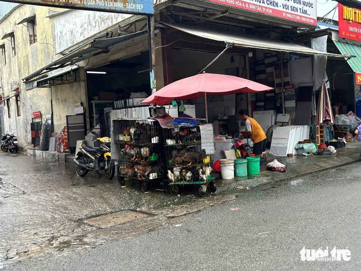 vỉa hè - Ảnh 5.