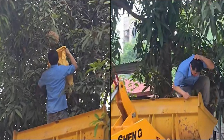 Người đàn ông 74 tuổi bị ong đốt hơn 100 vết được cứu sống kịp thời - Ảnh 2.