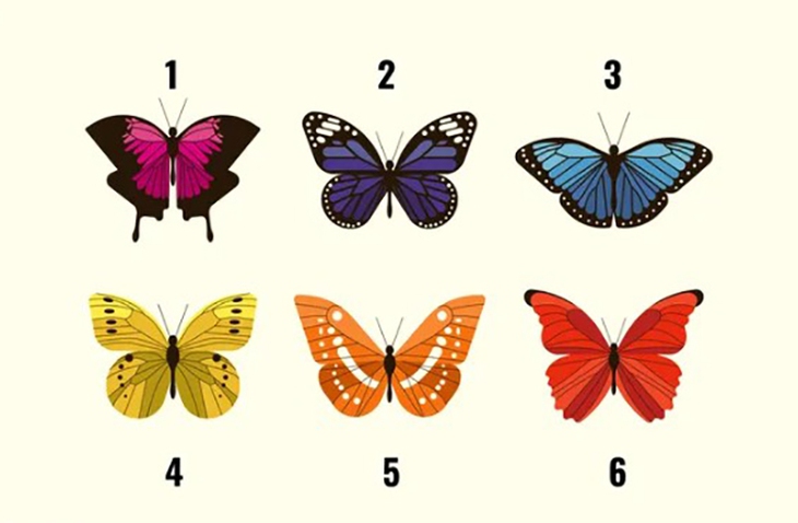 quiz - Ảnh 1.