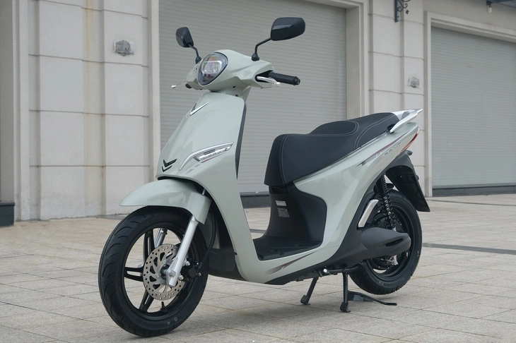 VinFast - Ảnh 1.