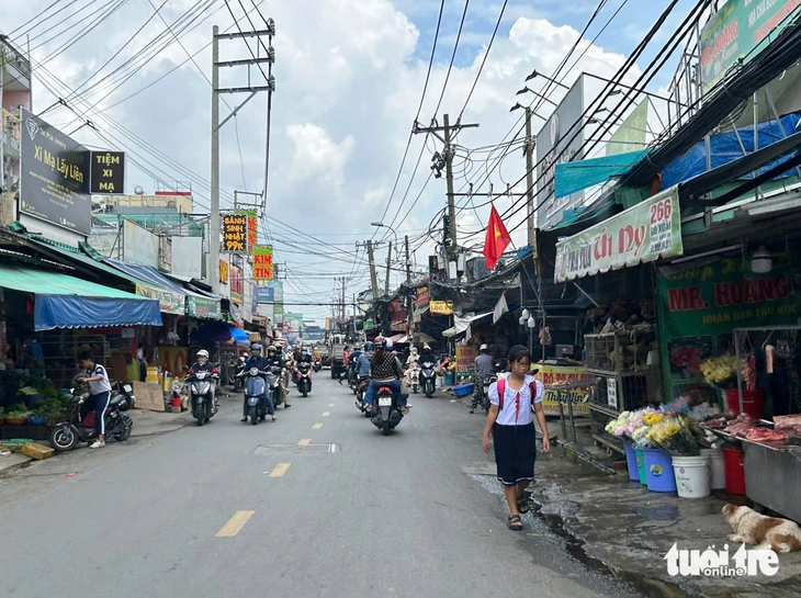 vỉa hè - Ảnh 6.