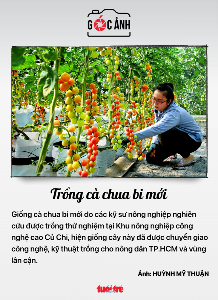 tiền điện - Ảnh 5.