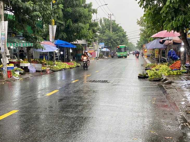 vỉa hè - Ảnh 8.