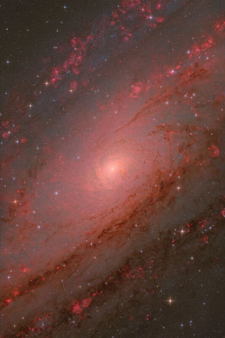 'Oscar của nhiếp ảnh thiên văn': Andromeda và những tuyệt tác bầu trời đêm 2025 - Ảnh 1.
