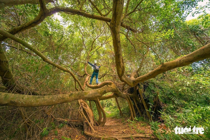 di sản - Ảnh 4.