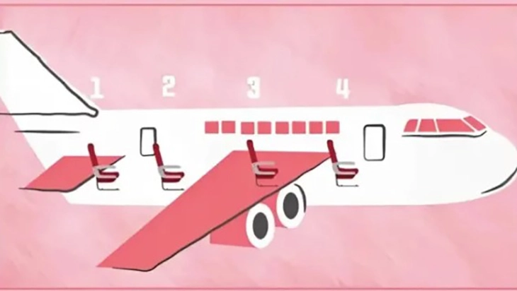 quiz - Ảnh 1.