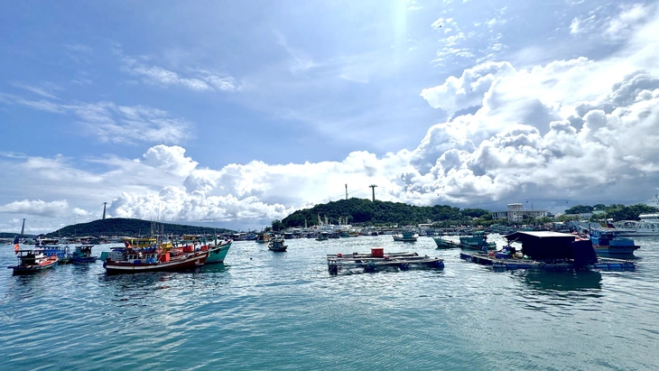 Đoàn đại biểu TP.HCM tiếp sức cho cán bộ, chiến sĩ và nhân dân trên đảo ngọc - Ảnh 1.