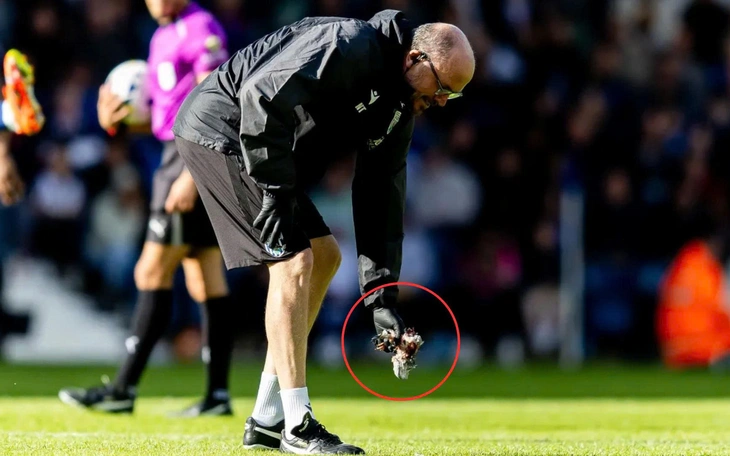 Siêu máy tính: Man Utd có nguy cơ rớt hạng cao gấp đôi cơ hội trở lại Champions League - Ảnh 5.