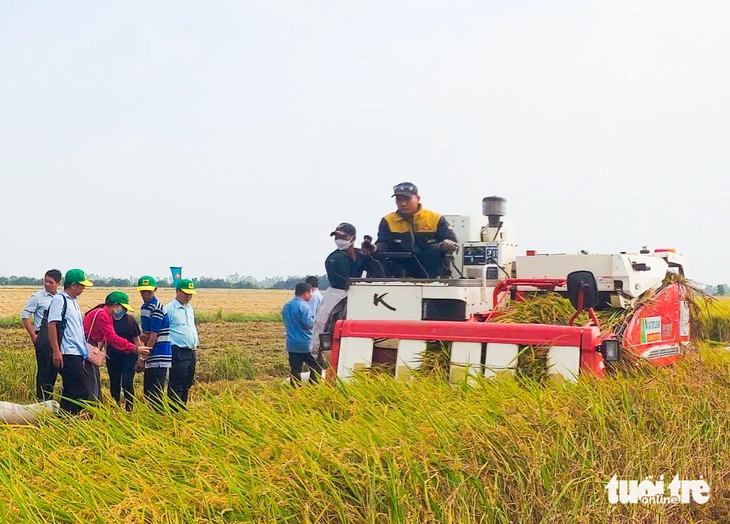 Cần liên kết để nâng cao giá trị hạt gạo Việt - Ảnh 3.