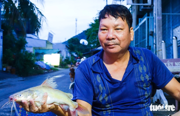 cá đồng  - Ảnh 8.