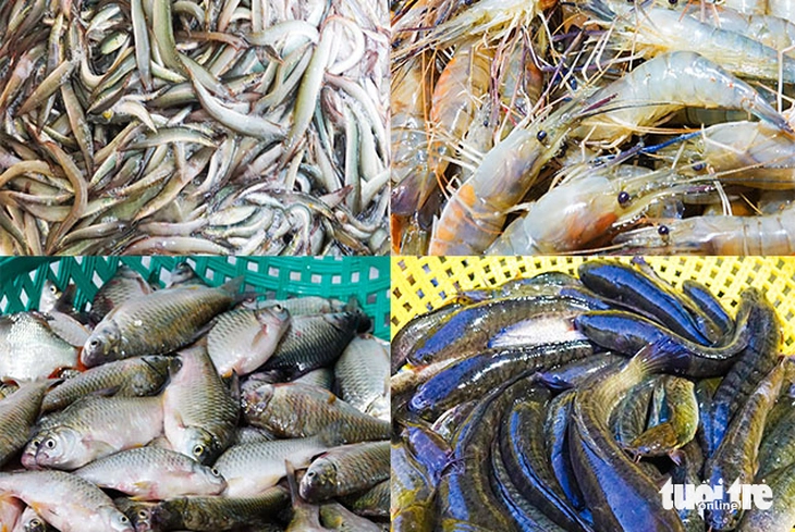 cá đồng  - Ảnh 9.