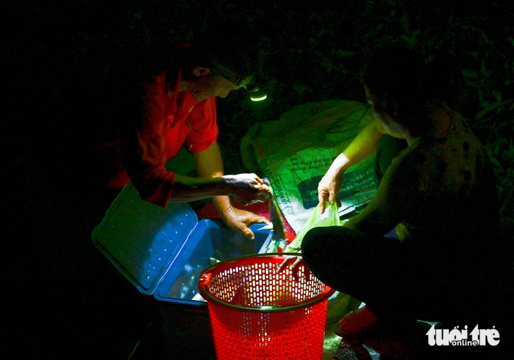 cá đồng  - Ảnh 11.