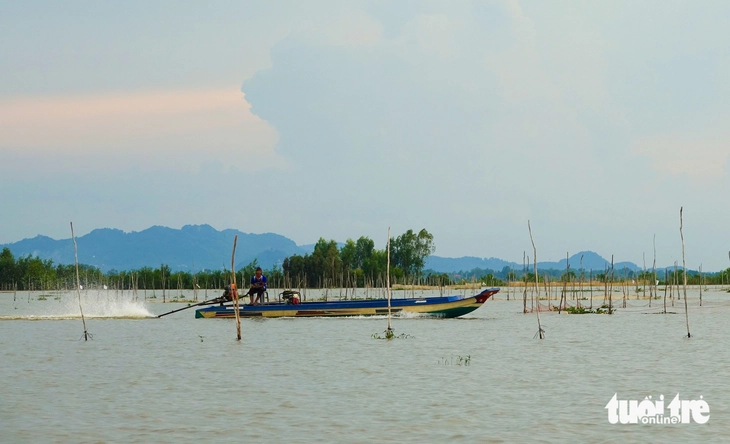 cá đồng  - Ảnh 12.