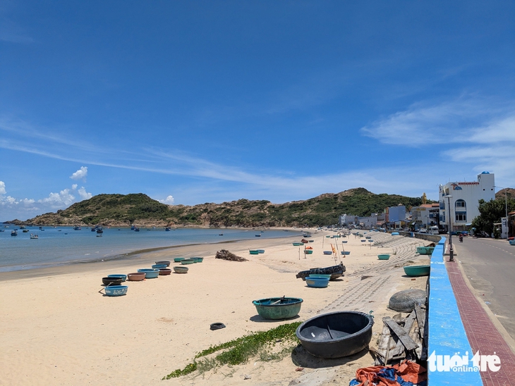 biển Quy Nhơn - Ảnh 2.