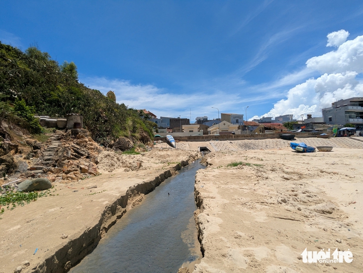 biển Quy Nhơn - Ảnh 5.